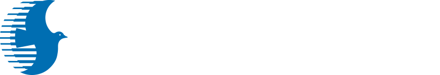 車両ラッピングなら信頼と実績の神姫Bizプロデュース